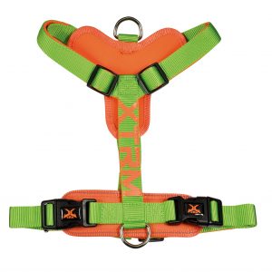 Arnés X-TRM neón flash verde
