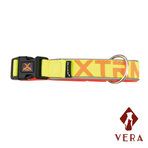 Collar X-TRM neón flash lima