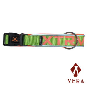Collar X-TRM neón flash verde