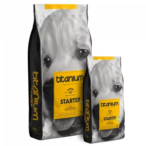 Arion Titanium - Starter