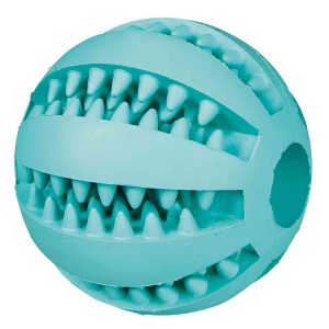 Pelota denta fun