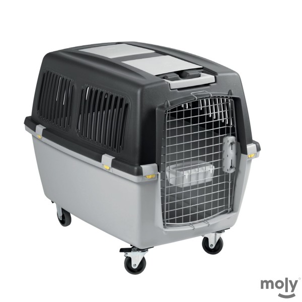 Trasportín Gulliver nº5