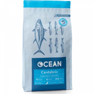Ocean - Cantabric