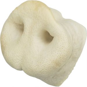 Snack Bar Trixie - Morro de Cerdo (1 unidad)